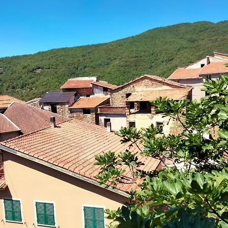 Intera Casa Nel Silenzio Degli Ulivi