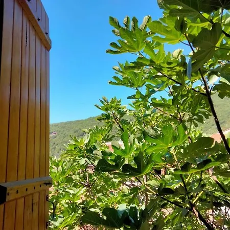 Intera Casa Nel Silenzio Degli Ulivi * Borghetto d'Arroscia